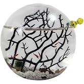 Small Glass Self Sustaining Shrimp Ecosphere by ShrimpsCity
