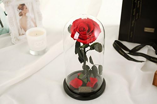 Beauty And The Beast Red Rose, Preserved Fresh Flower with Fallen Petals in a Glass Best Gifts for Lovers ! with Exquisite Gift Box