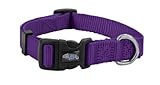 Weaver Leather Prism Snap-N-Go Collar, Medium, Purple