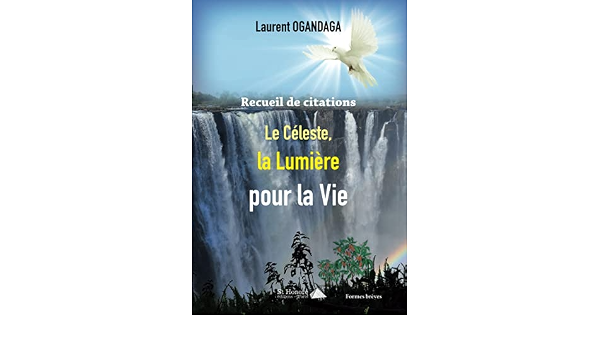 Recueil De Citations Le Celeste La Lumiere Pour La Vie French Edition Ogandaga M Laurent Amazon Com Books
