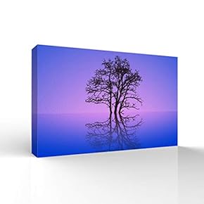 Canvas Wall Art for Living Room,Bedroom Home Artwork Paintings A Lonely Tree Ready to Hang - 12x18 inches