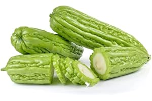 HIPGIRL 2026 EarlyBird-Asian Bitter Gourd Seeds for Planting Vegetables and Fruits苦瓜.Vegetable Seeds at Home Vegetable Garden&Hydroponics Seed Pods-Bitter Melon Seeds for Planting-10 Bitter Melon Plant Seeds
