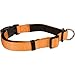 Phydeaux's Strong 'n Soft Nylon Dog Collar, Orange (8 Colors), Large, Neck 17