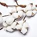 VGIA 5FT Natural Cotton Christmas Garland - Adjustable Stems - Farmhouse Rustic Decor - Wedding Decoration