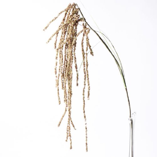 Set of 4 Unique Spring Colored Millet Seed Sprays with Decorative Accents for Floral Arranging, Crafting, and Embellishing