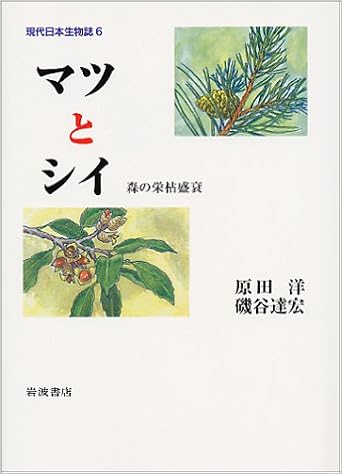 Shii And Pine Ups And Downs Of The Forest Contemporary Japanese