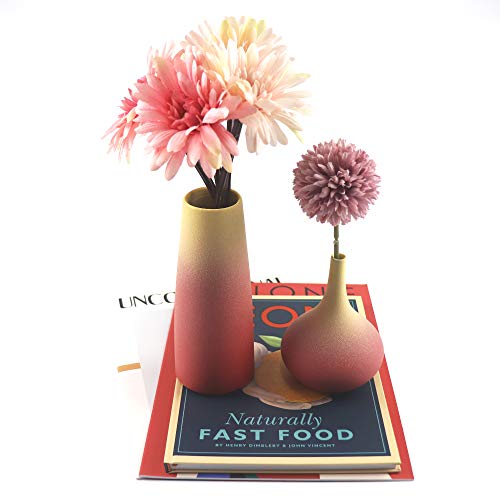 Small Ceramic Vase Set of 2 Flower Vases for Home Décor Living Room,Bookshelf Dcor（Red）