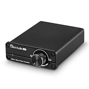 Mini Subwoofer/Full Frequentie-monokanaalversterker Mono Power Amplifier versterker