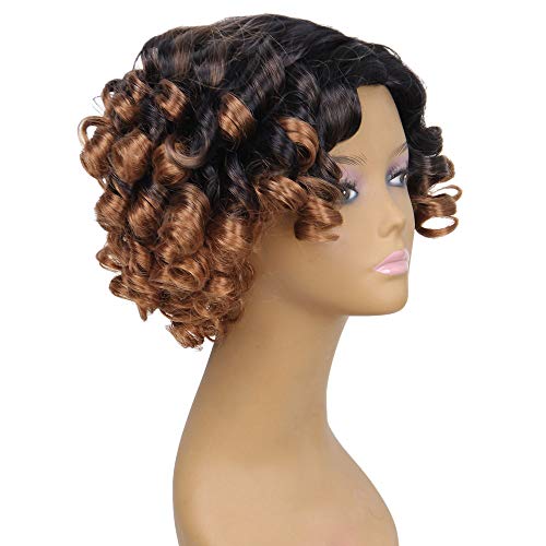 Onefa Health & Beauty Hair Wig Women Fashion Lady Gradient Short Curls Hair Cosplay Party Wig (Brown)