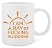 TheMugStore I'm A Ray Of Fucking Sunshine - 13 Oz White Ceramic Glossy Mug With Large C-handle (Microwave and Dishwasher Safe)