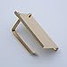 Beelee SUS 304 Stainless Steel Wall Mount Toilet Paper Holder, SUS304 Stainless Steel Bathroom Tissue Holder with Mobile Phone Storage Shelf, Golden