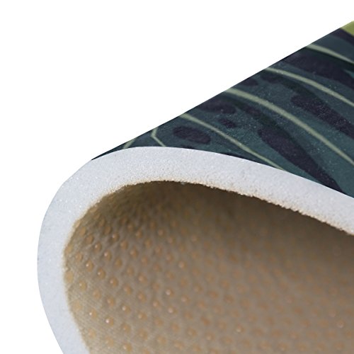 41FPUudN9JL 41FPUudN9JL