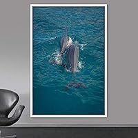 Framed Canvas Wall Art Fish on The Surface Bedroom Dolphin Marine Life Multicolor Nautical Photography - 16x24 inches