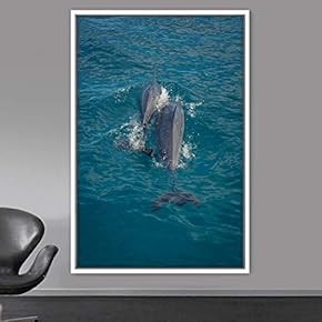 signwin Framed Canvas Wall Art Fish on The...