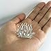 Mini Princess Crown Comb Tiara Hair Clips for Wedding Flower Girls Birthday Party Favor Cupcake Toppers Pack of 6