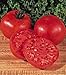 Burpees Big Boy Tomato 4 Plants - Heavy yields