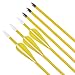 Elong Fiberglass Arrows Archery 24 26 Inch Yellow Shooting Targeting Recurvebow for Youth Kids Children Beginner Safe Point