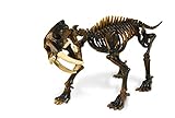 Geoworld Prehistoric Icebergs Sabre Tooth Tiger Skeleton Assembly Set