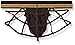 Andrew Christian Men's Fukr Web Thong