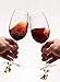 SANHE Christmas Wine Glass Charms Tags, Wine Drinker Gifts, Champagne Cocktail Drink Markers set of 12 in gift box（silver）