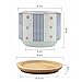 T4U 3 Inch Ceramic Succulent Planter Pots with Bamboo Tray, Japanese Style Porcelain Handicraft as Gift for Mom Sister Aunt Best for Home Office Restaurant Table Desk Window Sill Decoration