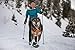 RUFFWEAR - Omnijore Hip Belt for Dog Joring, Running, and Hiking
