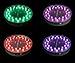 Acolyte E-Maxi 32 RGB Light Base 6-Inch Battery Operated Remote Capable