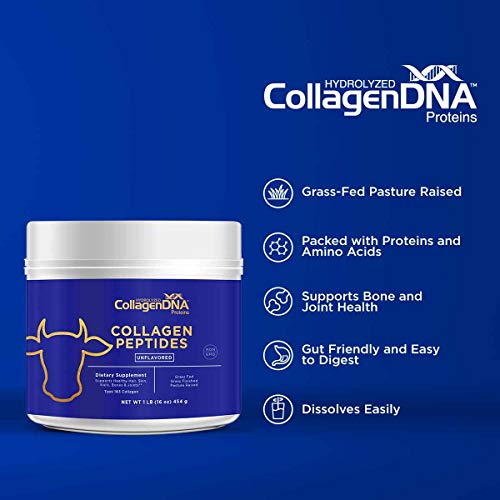 Premium Collagen Peptide Powder from Grass Fed Beef - 1 LB Unflavored, Odorless and Easy to Mix Hydr - //coolthings.us