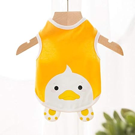 kitten clothes amazon