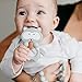 Baby Teething Toys BPA Free Silicone Teether Chew Egg with Pacifier Clip Cute and Effective Pain Relief Raccoo for Stylish Boy or Girl