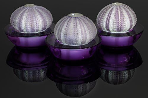 SeaThingz Flameless Candles - Sea Urchin for Indoor &amp; Outdoor Decorative Novelty Lighting - LED Battery Operated Tealight for Elegant Home Decor - Unique Nonstandard Shaped Candle Purple pack of 3