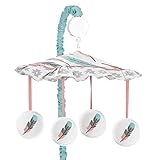 Sweet Jojo Designs Feather Collection Girls Musical Baby Crib Mobile