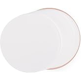 stonylab Nylon Membrane Filters, Hydrophilic Nylon Membrane Disc Filters with 0.45 &mu;m Pore Size and 94 mm Diameter