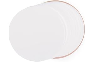 stonylab 50 Pack Nylon Membrane Filters, Hydrophilic Nylon Membrane Disc Filters with 0.45 μm Pore Size and 94 mm Diameter
