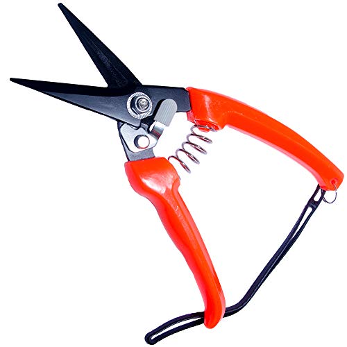 1 DEEALL+Trimmer+Trimming+Clippers+Serrated