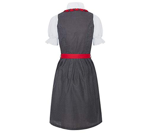 Bavarian Dirndl Dress 3pcs Set - Traditional & Modern Oktoberfest Dirndl Heidi (US:8 (EU:38)) Red/Blue