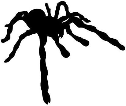 Amazon Co Jp クモ シルエット カッティング ステッカー ブラック 黒 Vv0061 1bl 車 バイク
