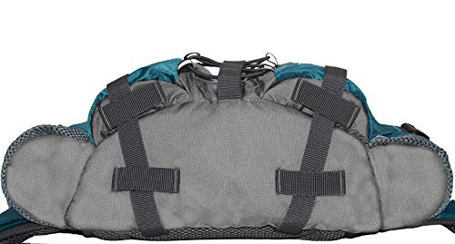 bp vision fanny pack