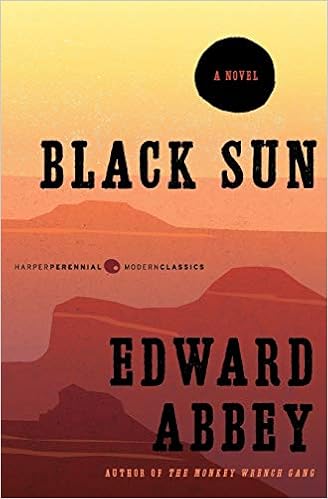 Black Sun: A Novel (9780062323743)
