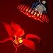 ABI 12W Red 620-630nm PAR38 LED Grow Light Bulb for Flowering