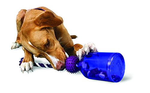 PetSafe Busy Buddy Tug-A-Jug Meal Dispensing Dog Toy, Medium/Large