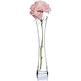 Hand-Made Blown Art Bud Glass Vase Clear Small Glass Vase Glass Flower Vase Heavy Base Single Stem Flower Drop Vase for Flower and Office Bud Home Wedding Decor (Oblique Mouth)