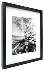 MCS Art Frame with Mat Opening, Black, 8 x 10 in