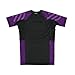 Sanabul Essentials Short Sleeve Compression Base Layer Rash Guard (X-LARGE, PURPLE)