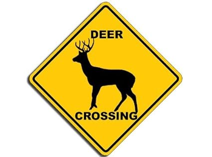 Image result for deer crossing