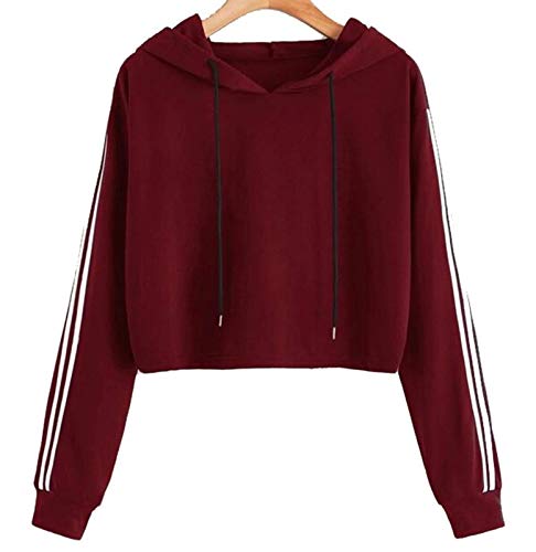 Maroon crop top hoodie Clearance