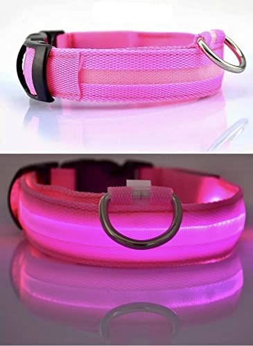 Led dog collar USB Rechargeable & Waterproof with 3 Flashing Modes, super bright (M, PINK)