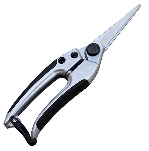 TABOR TOOLS Pruning Shears, Florist Scissors, Multi-Tasking Garden Snips for Arranging Flowers, Trimming Plants and Harvesting Herbs, Fruits or Vegetables. K18A. (Straight, Japanese Style Blades) 