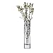 Libbey Cylinder 12-piece Bud Vase Set