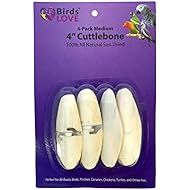 Birds LOVE 4-Pack 4